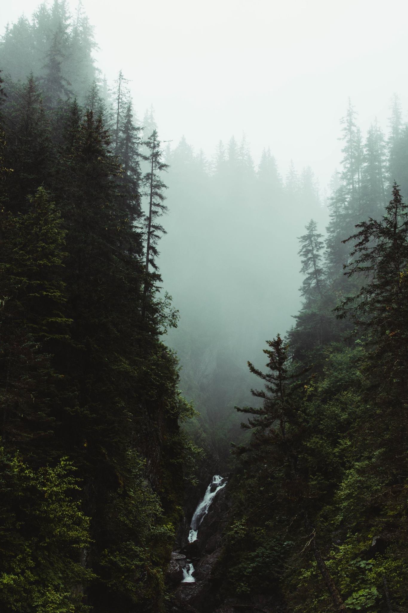 Procedures Yukon Eyecare