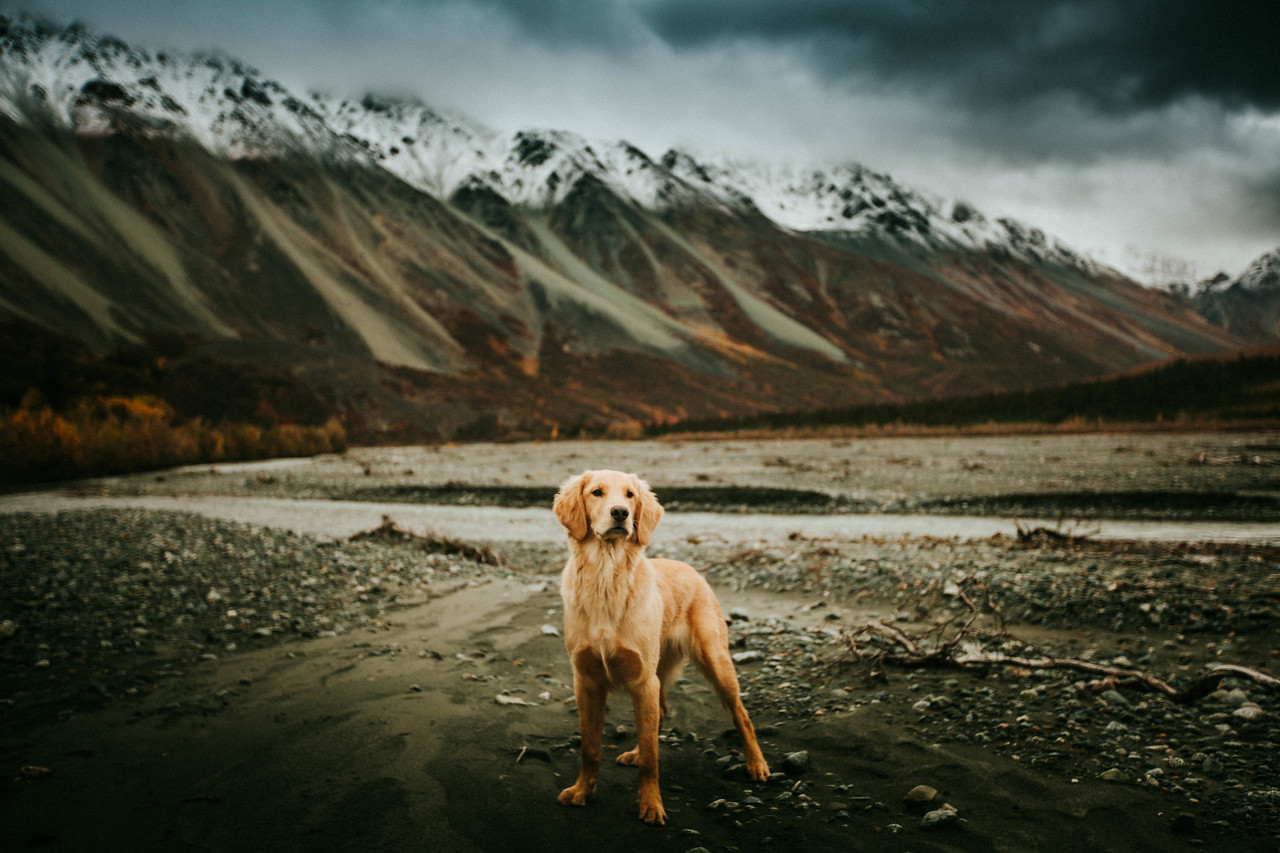 Pay your bill Yukon Eyecare